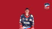 Hockey Del2 GIF by Selber Wölfe
