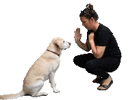 Drink Beer Sticker by Brouwerij Frontaal