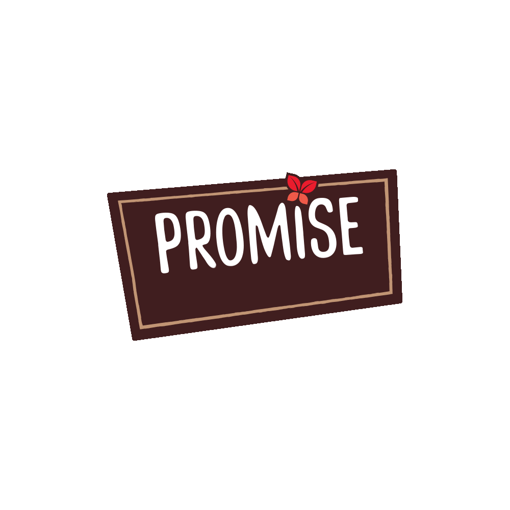 PromiseGlutenFree glutenfree glutenfreebread gfbread promiseglutenfree Sticker
