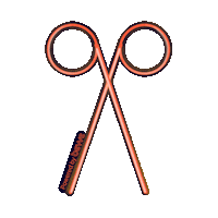 Beauty Festival Sticker by Bewe Software