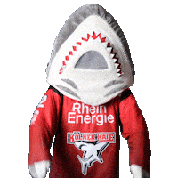 Hockey Nhl Sticker by Koelner Haie