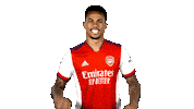 Celebrate London Sticker by Arsenal