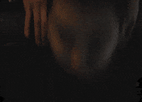 Scared Fight GIF