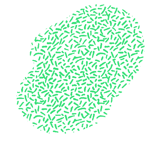 Nzm110 Sticker