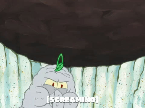 season 4 GIF by SpongeBob SquarePants