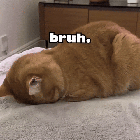 Over It Cat GIF by Respective