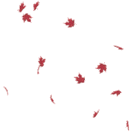 fall autumn Sticker by DP Animation Maker