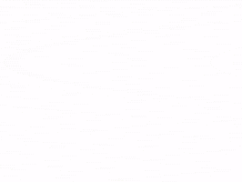 Spongebob Flight Reacts GIF