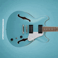 theguitarmaster japan guitar master westland GIF