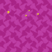 What's in the Fridge?