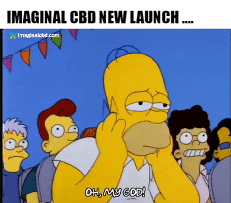 Homer Simpson Omg GIF by Imaginal Biotech
