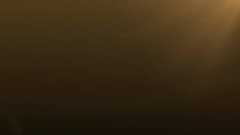 Wasteomind giphyupload GIF