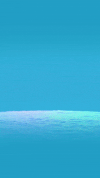 Business Webdesign GIF by MawoKa