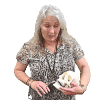 Joy Skull Sticker by Progressive Orthodontic Seminars