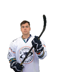 Sport Hokej Sticker by HCSTADION