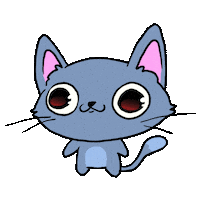 Cat Spinning Sticker