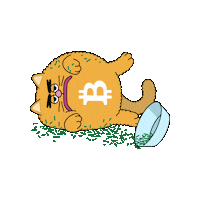 Cat Bitcoin Sticker by herecomesbitcoin
