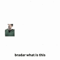 Domer GIF