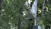 sesame studios GIF by Sesame Street