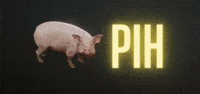 Steam Pih GIF