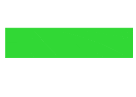 Miami Dolphins Sticker by The Brickell Scoop