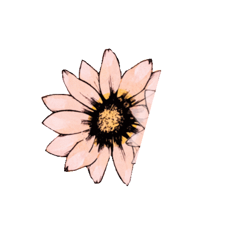 Adam Levine Flower Sticker by Maroon 5