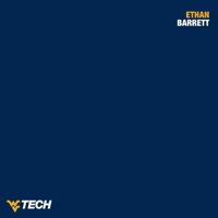 Baseball GIF by WVU Tech Golden Bears