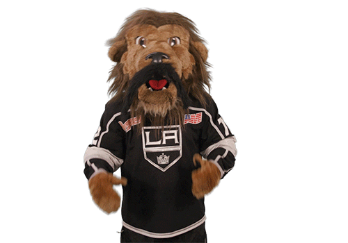 Ice Hockey Sticker by NHL