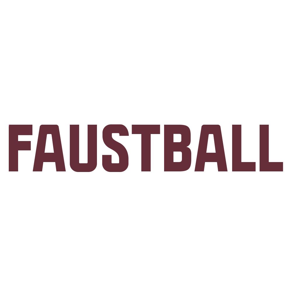 Sport Ball Sticker by Faustball Traun - St.Martin