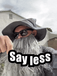 Say Less GIF