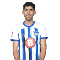 Thats It Bye Bye Sticker by Hertha BSC