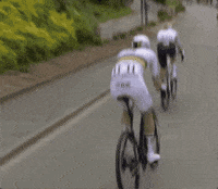 Chasing Number 1 GIF