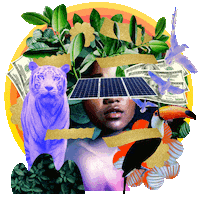 Text gif. Collage of manicured jungle imagery, tropical plants, birds in flight, a tiger, a toucan, cash, and a woman's face obscured by a solar panel. A handwritten message reads "Getting money for going green."