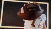 Georgia Tech Football Sport GIF by Georgia Tech Yellow Jackets