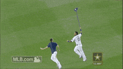 kc GIF by MLB