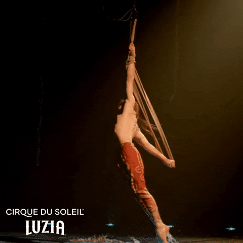 Spin Spinning GIF by Cirque du Soleil