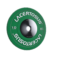 Lacertosus fitness gym training disco Sticker