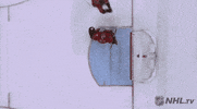 Ice Hockey Reaction GIF by NHL