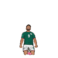 World Cup Football Sticker by Panini America