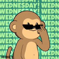 Coffee Work GIF by Wise Monkey Meme