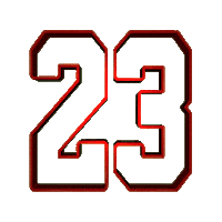 Skate Chicago Sticker by SKATEDELUXE