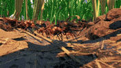 Attack Ants GIF by Xbox