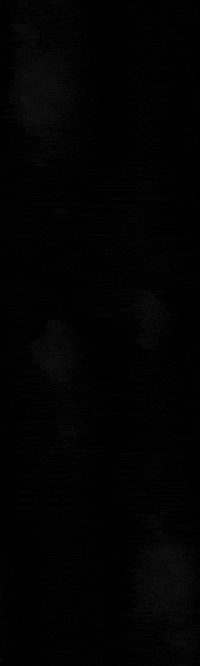 Mezcaleria GIF by Mezcal El Silencio