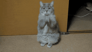 work bonnie GIF
