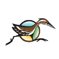 Kika Kiko Sticker by Visit Guam