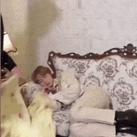 Good Night Sleeping GIF