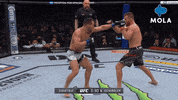 Angry Knock Out GIF by MolaTV