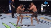 Angry Ultimate Fighting Championship GIF by MolaTV