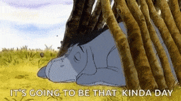 Eeyore GIF by memecandy