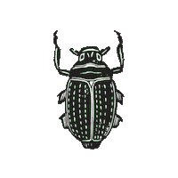woperovski green stamp beetle lino Sticker